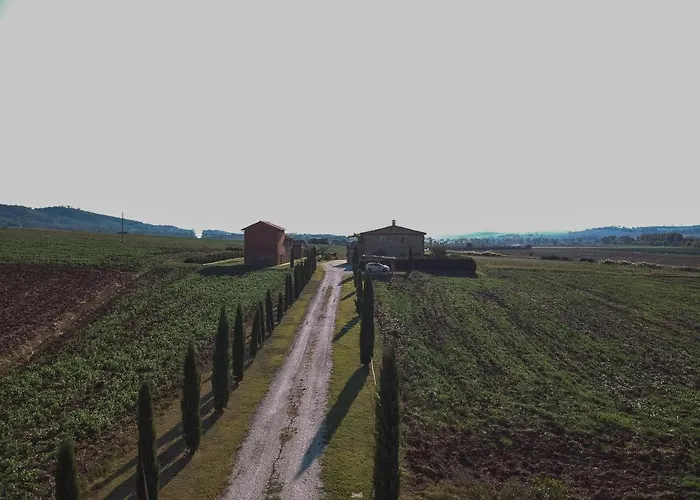 Il Faldo Пачиано